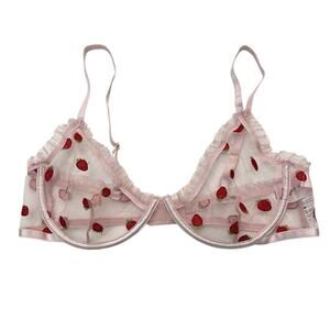 Bed Of Roses Strawberry Embroidered Bra Large Pink Sheer Underwired Lingerie